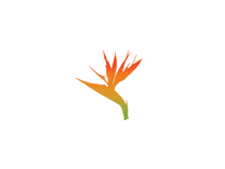 Noches de la 90 logo